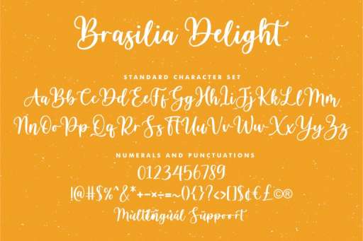 Brasilia Delight - Font Commercial Use From Jimtype Studio