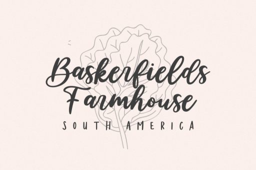 Isabella Script - Cute Branding Font from Jimtype Studio