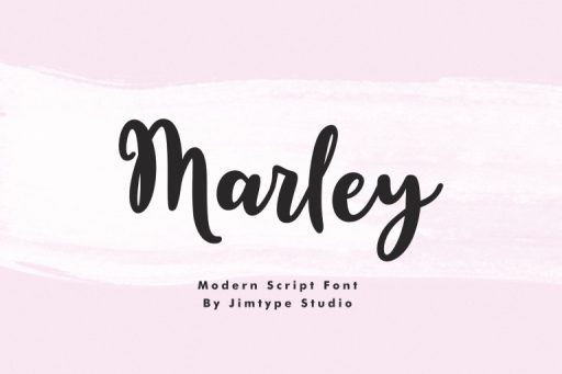 Marley Script - Cute Branding Font from Jimtype Studio