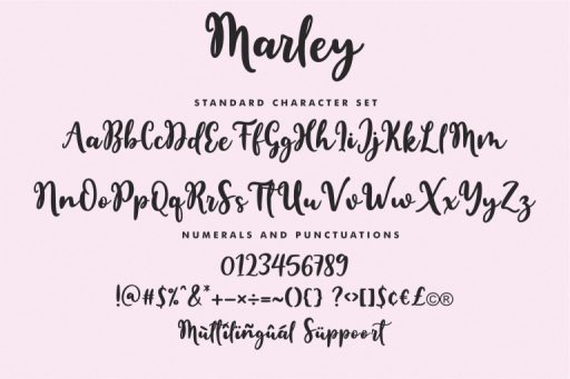 Marley Script - Cute Branding Font from Jimtype Studio
