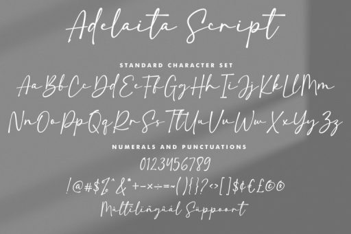 Adelaita Script - Cute Branding Font from Jimtype Studio