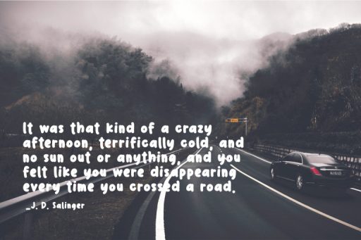 Baby Fat - Handwriting Branding Font from Jimtype Studio