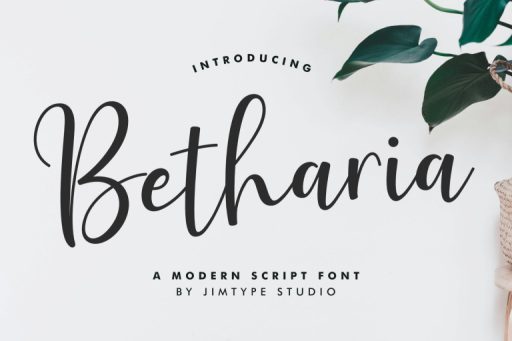 Betharia Font - Business Branding Font from Jimtype Studio