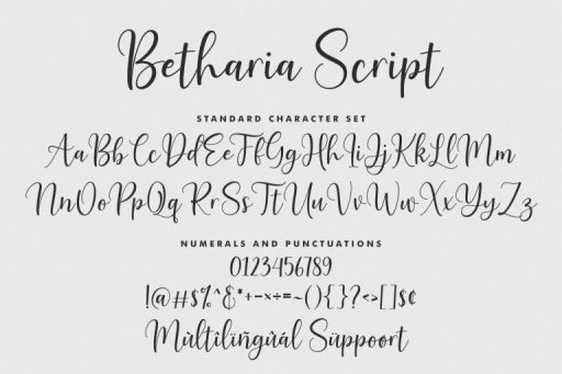 Betharia Font - Business Branding Font from Jimtype Studio