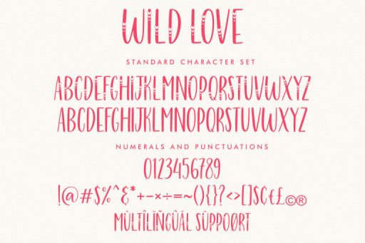 Wild Love - Lovely Valentine Font From Jimtype Studio