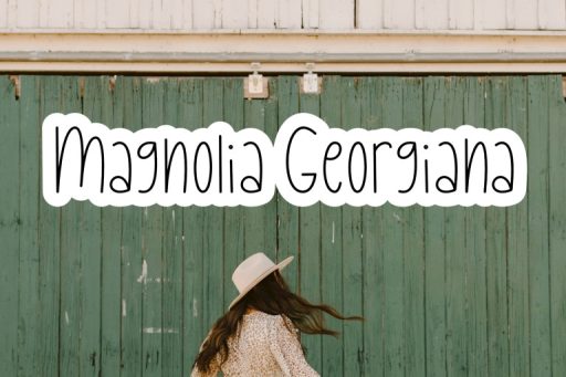 Tiny Bohemian - Tall and Skinny Farmhouse Font from Jimtype Studio