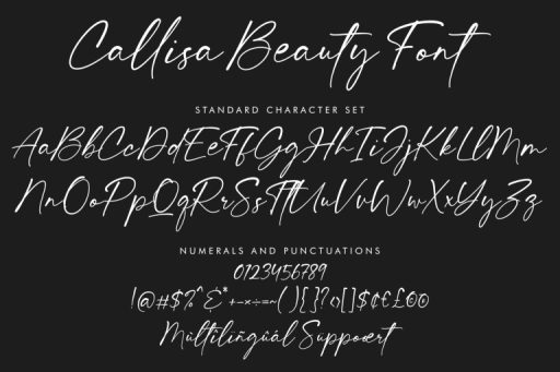 Callisa Beauty Font - Business Branding Font from Jimtype Studio