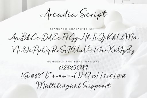 Arcadia Font - Business Branding Script Font from Jimtype Studio