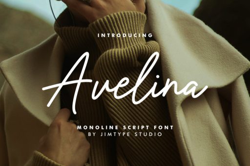 Avelina Script Font - Business Branding Font from Jimtype Studio