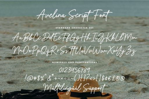 Avelina Script Font - Business Branding Font from Jimtype Studio