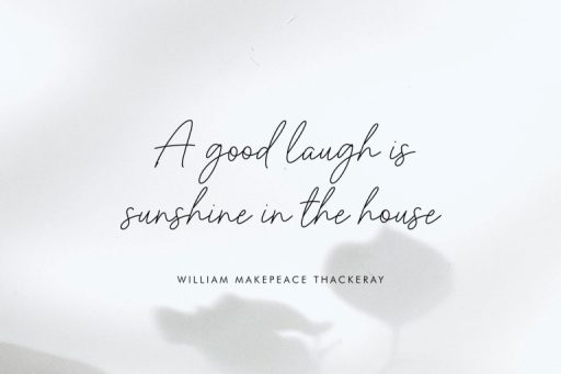 Manhattan Sunset Font - Business Branding Script Font from Jimtype Studio