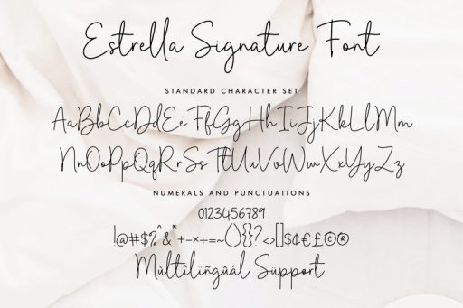 Estrella Signature Font - Business Branding Font from Jimtype Studio
