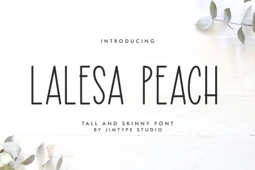 Lalesa Peach - Tall and Skinny Farmhouse Font from Jimtype Studio