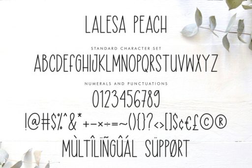 Lalesa Peach - Tall and Skinny Farmhouse Font from Jimtype Studio