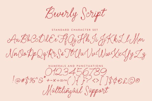 Beverly Script -  Whimsical Business Branding Font from Jimtype Studio