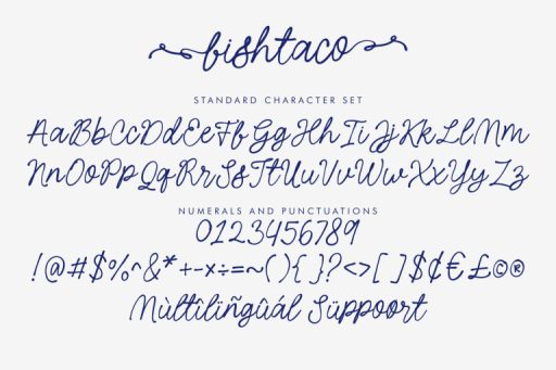 Fishtaco Script -  Whimsical Business Branding Font from Jimtype Studio