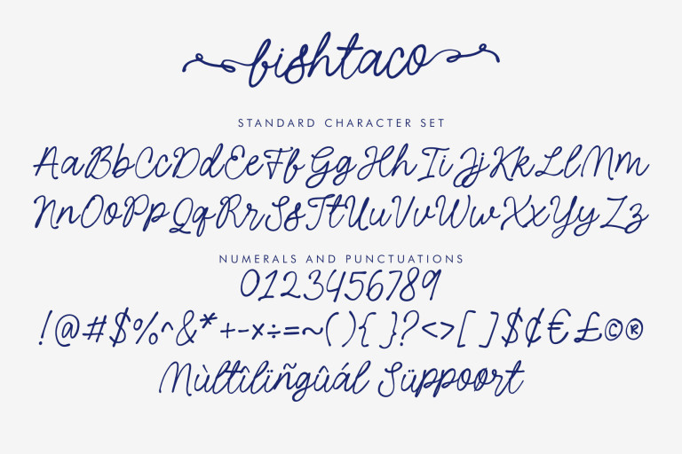 Fishtaco Script -  Whimsical Business Branding Font from Jimtype Studio
