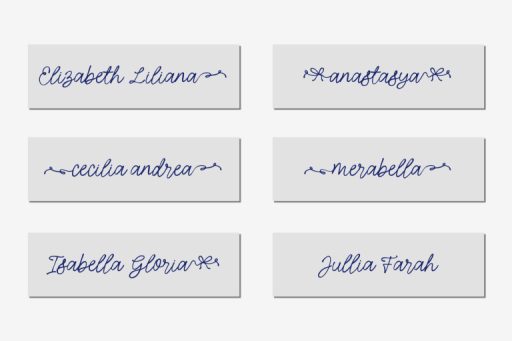 Fishtaco Script -  Whimsical Business Branding Font from Jimtype Studio