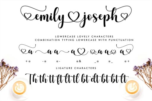 Emily Joseph - Wedding Branding Font from Jimtype Studio