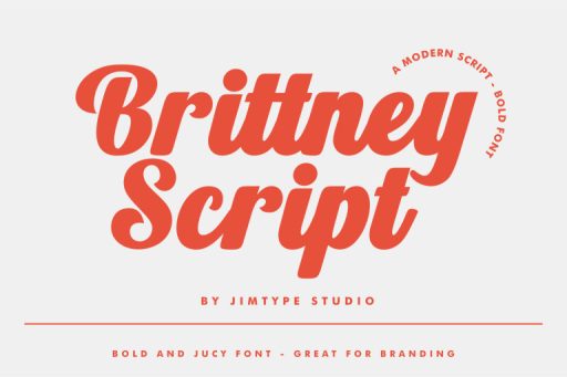 Brittney Sript - Branding Design Font from Jimtype Studio