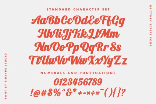 Brittney Sript - Branding Design Font from Jimtype Studio