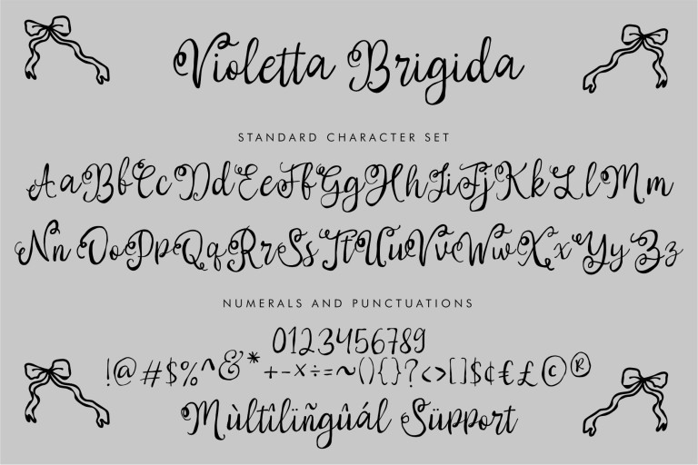 Violetta Brigida -  Whimsical Business Branding Font from Jimtype Studio