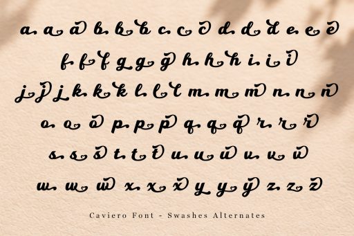 Caviero Font - Bold Script for Branding & Packaging from Jimtype Studio