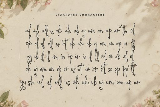 The Written Romance -  A Romantic, Vintage-Style Handwritten Font from Jimtype Studio