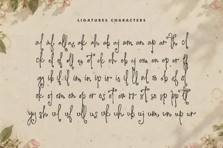 The Written Romance -  A Romantic, Vintage-Style Handwritten Font from Jimtype Studio